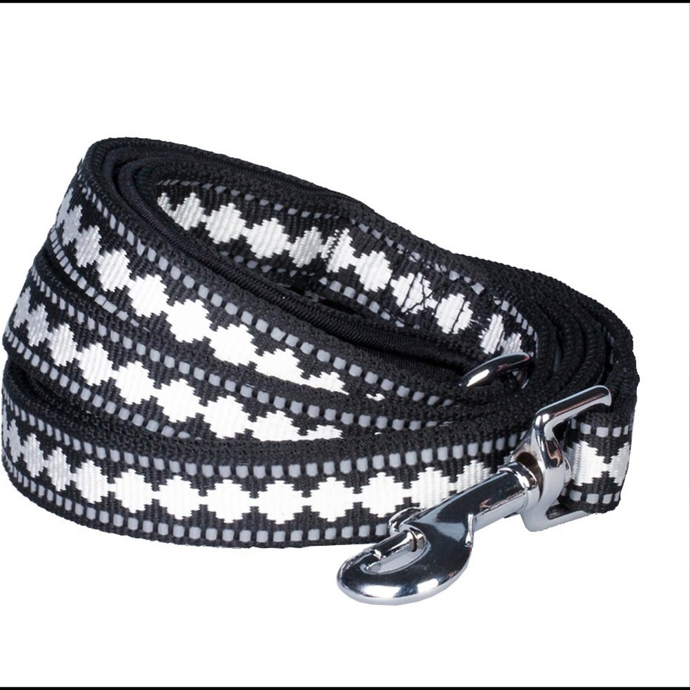 Blueberry Pet Dog Leash